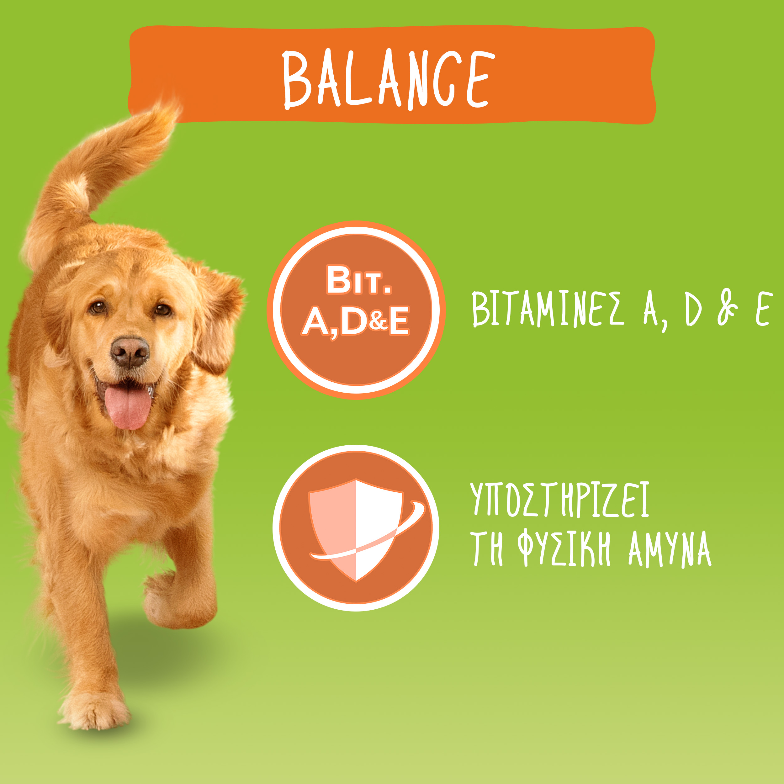 Dry food Chicken and Vegetables Friskies Balance 1.5 kg